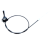 CNP300011-2